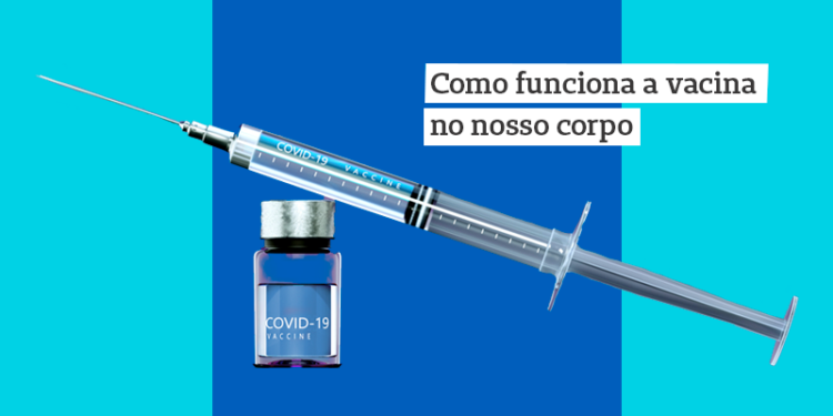 como funcioa a vacina no nosso corpo