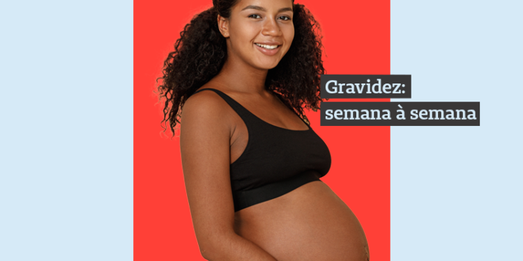 gravidez