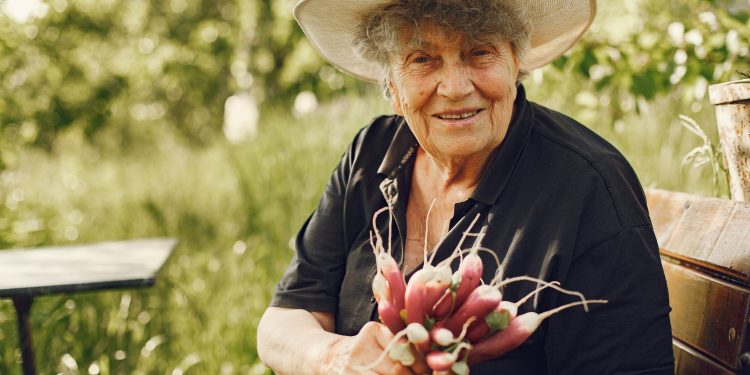 mulher idosa com um chapeu segurando rabanetes frescos scaled