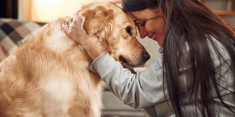 SEG MAT Cachorro em casa scaled