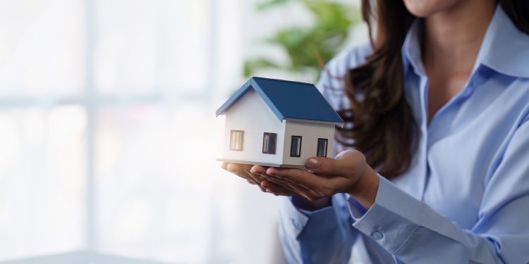 SEG MAT habite se scaled