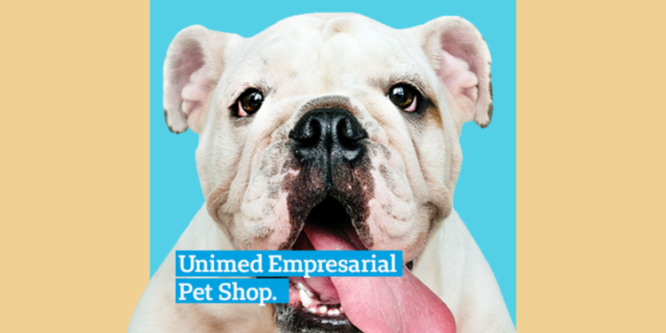 bulldog inglês com língua para fora em fundo laranja e azul com a escrita "unimed empresarial petshop" escrita em uma caixa azul