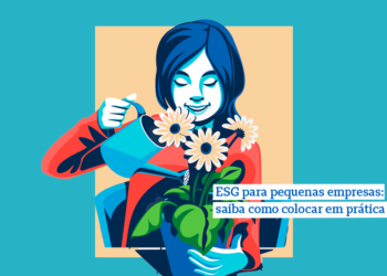 ESG para pequenas empresas: saiba como colocar em prática