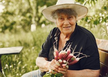 O que é aposentadoria rural e como receber o benefício?