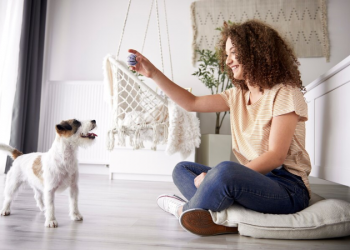 Os cuidados que você precisa ter com os pets no verão