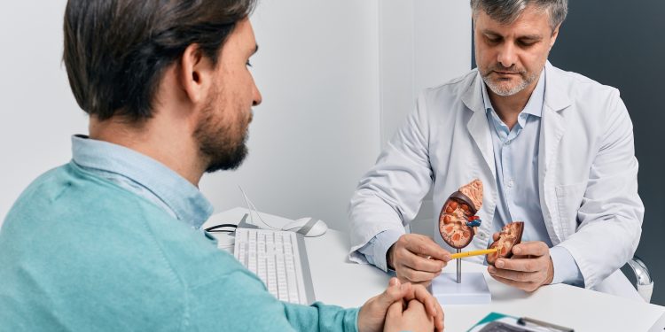 Como cuidar dos rins? Veja a importância desses órgãos vitais