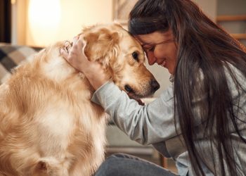 foto mostra menina de cabelos longos castanhos abraçada com cachorro de pelo claro