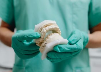 Dentista segurando protótipo com a estrutura do dente.