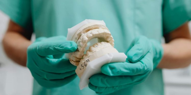 Dentista segurando protótipo com a estrutura do dente.